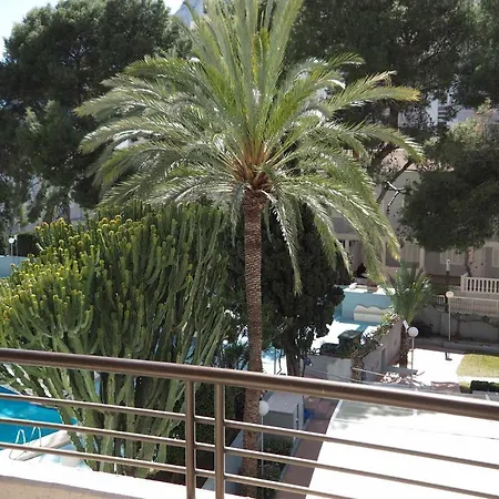 Apartament Primera Linea Playa Piscina Parking Wifivistas